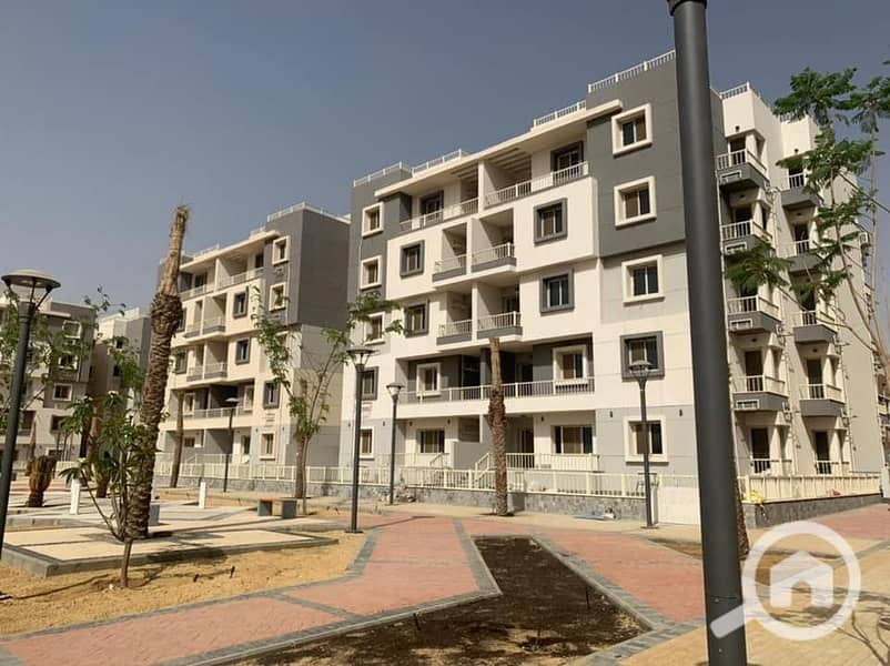 6 جايد jayd (7). jpg