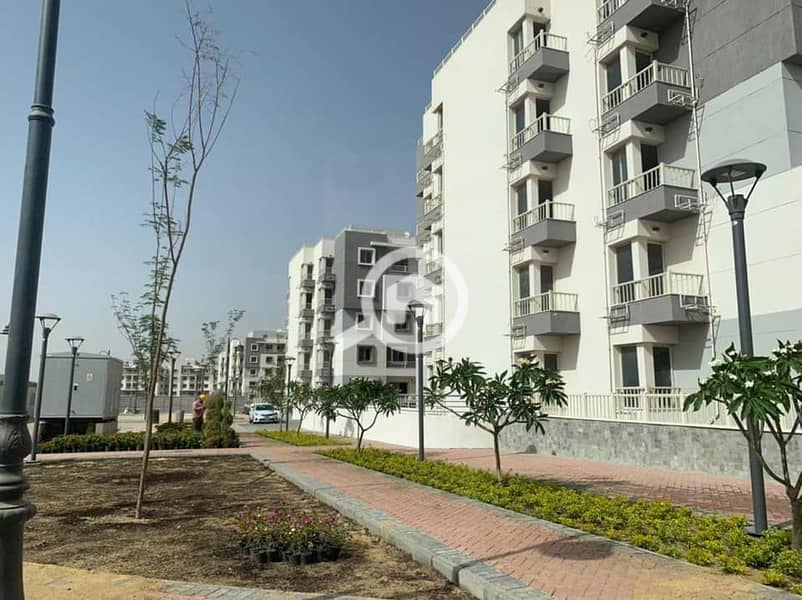 7 جايد jayd (9). jpg