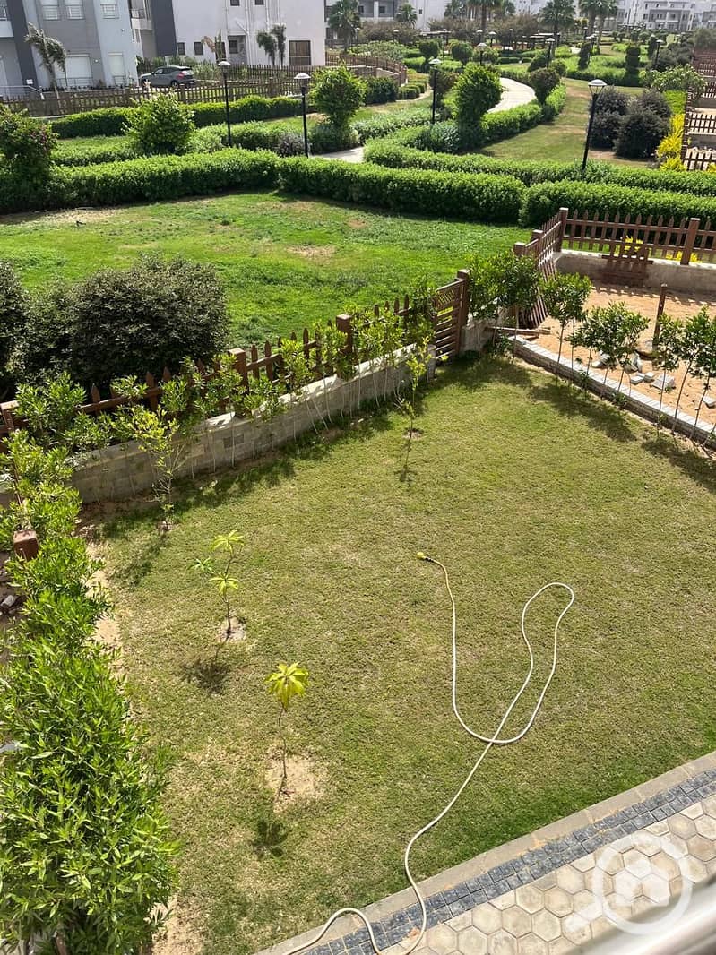 2 842e6290-f5de-497d-bb0d-89ea869d45b3. jpg