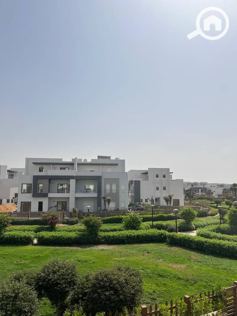 3 919caf4e-4a77-4371-b279-d6298e17873a. jpg