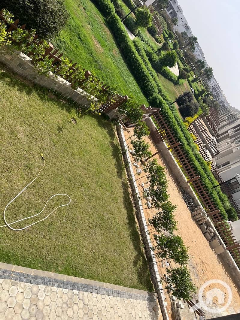 7 bf616119-ce87-409d-be7d-322ef36a71ec. jpg