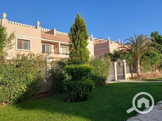 2 cleopatra (4). jpeg