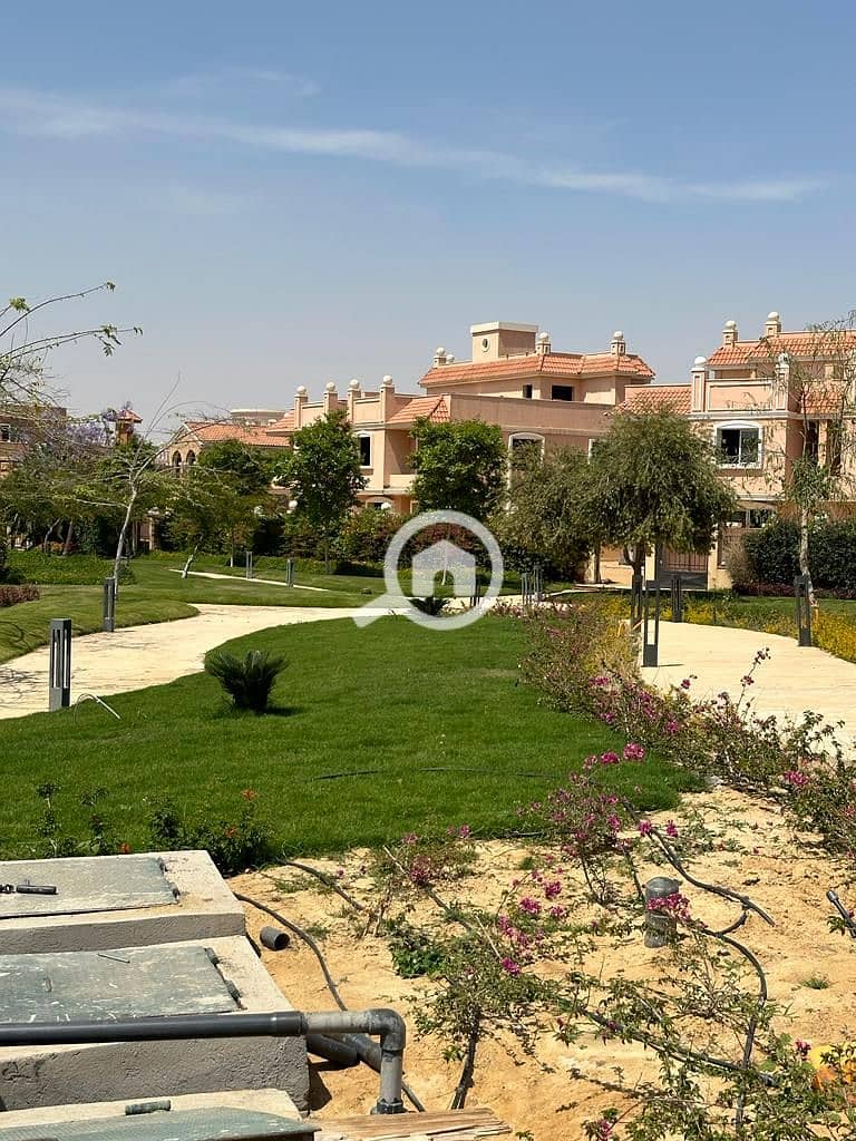 4 cleopatra (11). jpeg