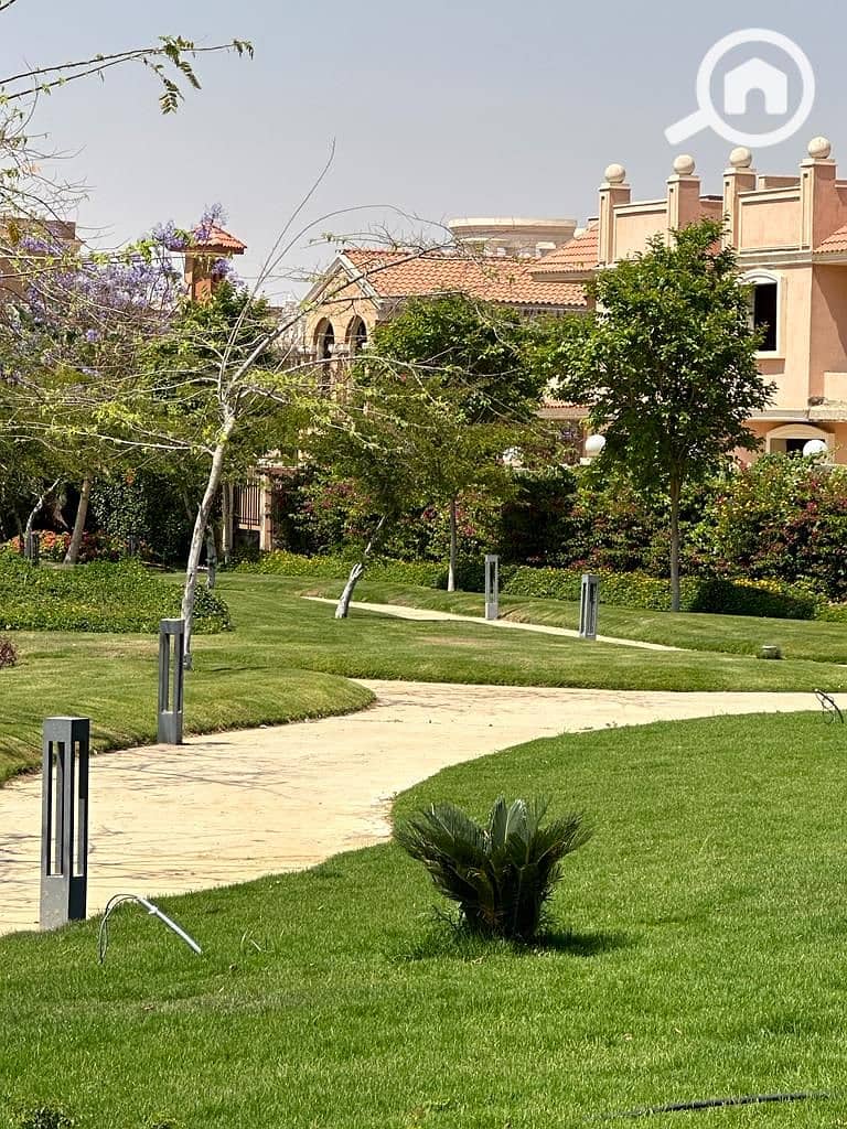 5 cleopatra (12). jpeg