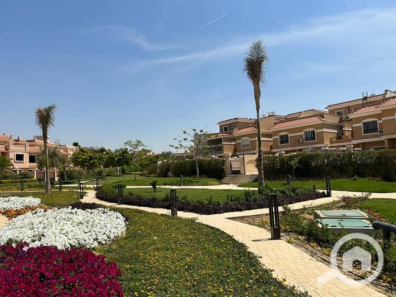 8 cleopatra (61). jpeg