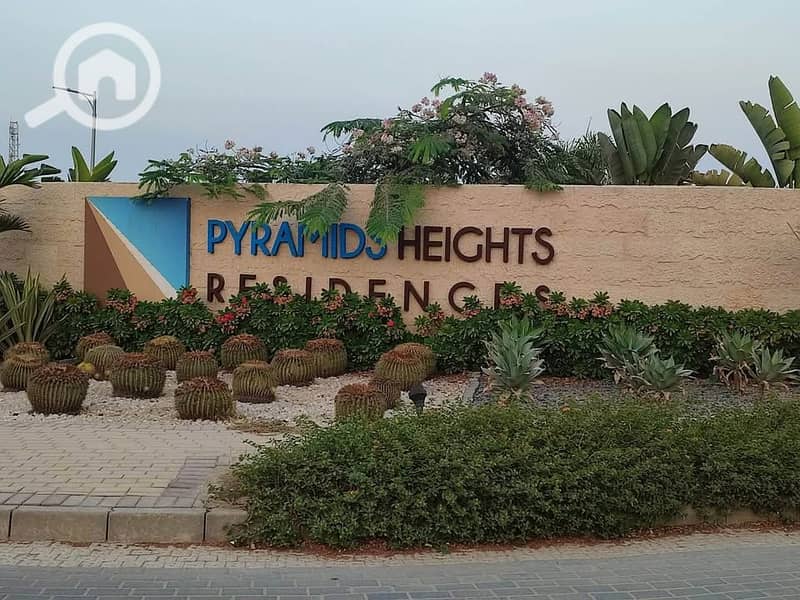 10 481735979_1299164041157009_7070736556259146776_n. jpg