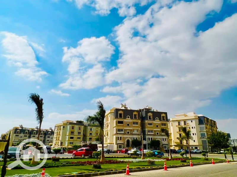 5 311204053_8112497128791525_4610078610488265799_n. jpg