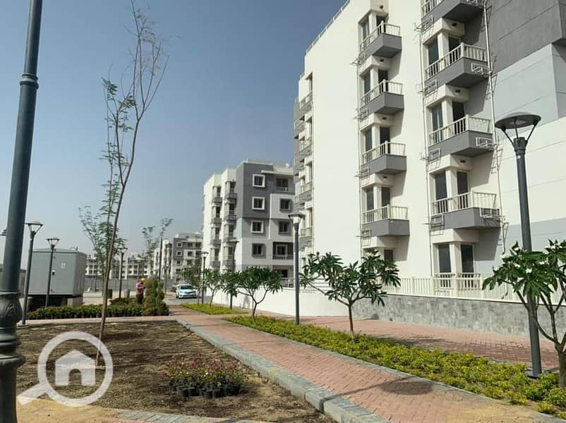 7 جايد jayd (9). jpg