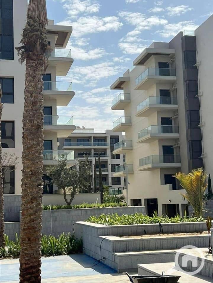 8 417923641_122131239872047076_7880988134911707323_n. jpg