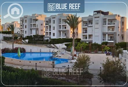 شاليه 3 غرف نوم للبيع في الساحل الشمالي، مطروح - WhatsApp Image 2025-11-27 at 2.52. 10 PM (1). jpeg