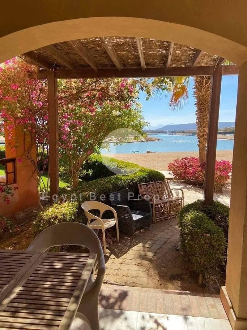 13 ea56f193-f870-4cab-a979-90efd40b7bfe. jpeg