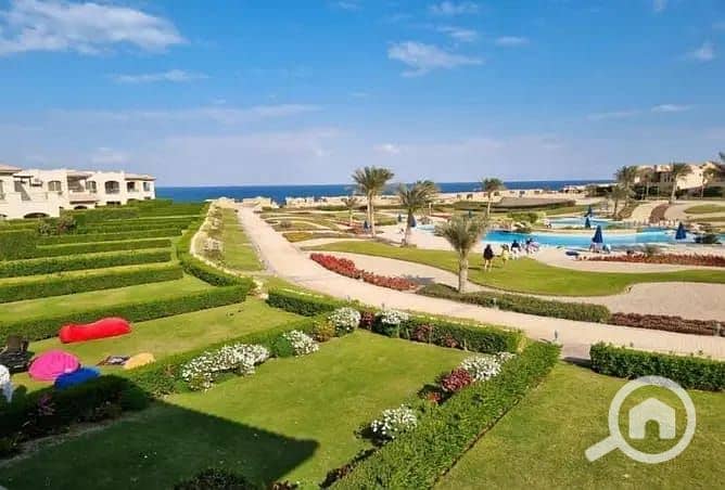 3 d4d7d86a-0b04-4101-b1ee-9158dab75803. jpeg