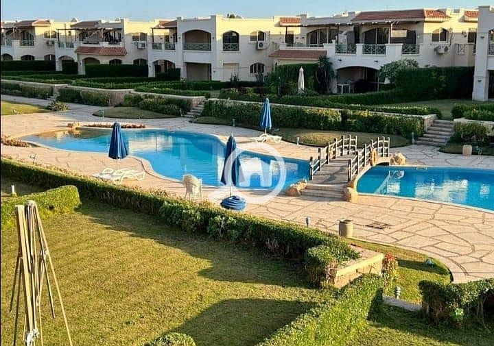 4 78a15e45-c5a9-48e8-b36b-65dd14347866. jpeg