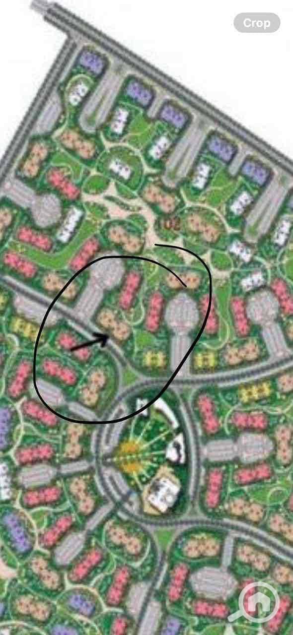 10 0a4ca9a7-df83-4120-ae6e-8562ab107c2a. jpg