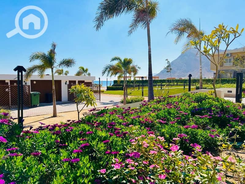 9 ef2fea2a-0d76-4425-98f7-e7447651ed93. jpg