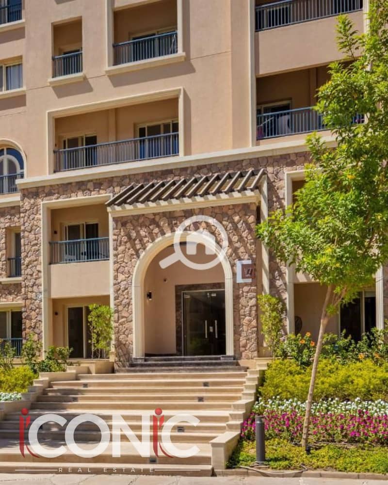 Untitled design (7). png