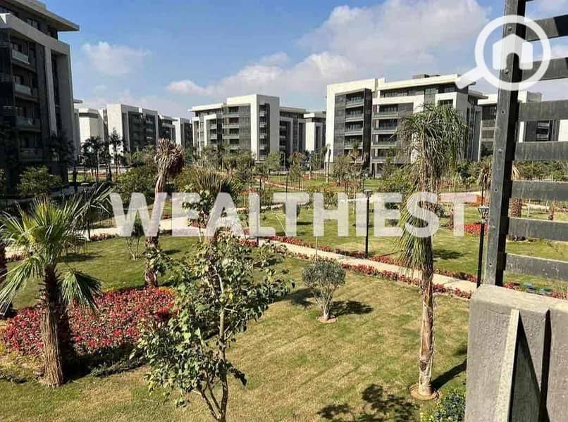 b9d1de60-91dc-4d86-a42e-978df0cdbcc8. jpg