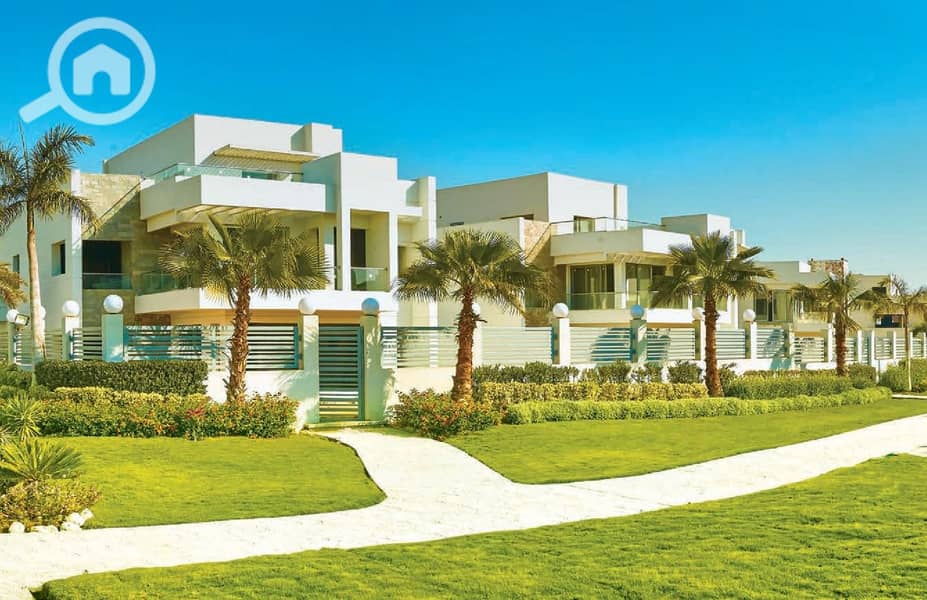 7 كليوبارترا اكتوبر (19). jpg