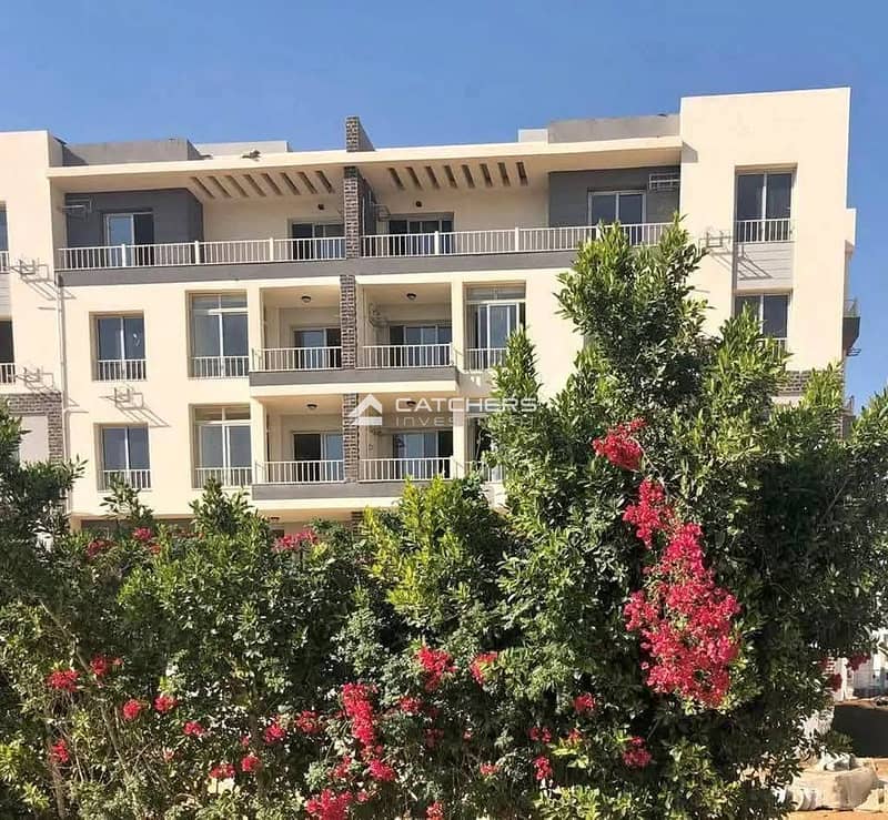 6 577455580_776352115402464_5500695358618242924_n. jpg