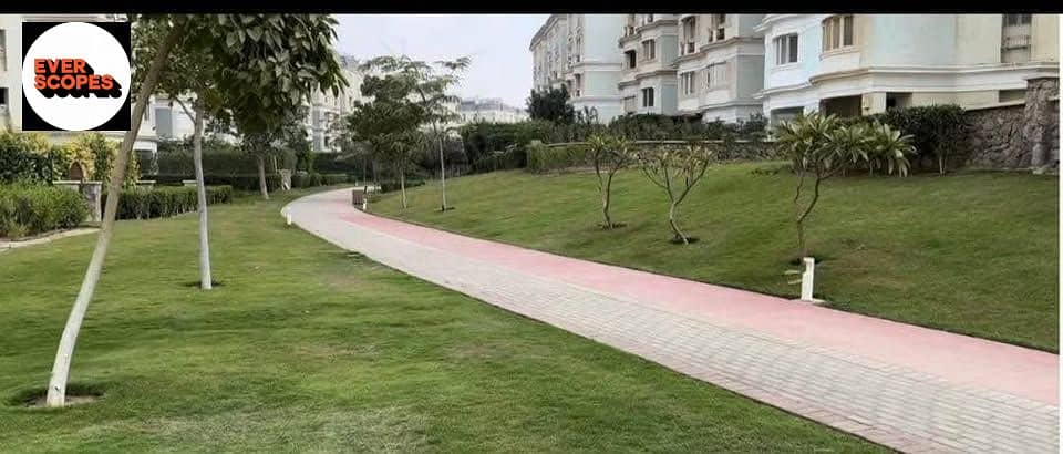 9 540003185_2312211985864858_452414491615262286_n. jpg