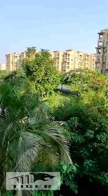 3 Bedroom Flat for Rent in Madinaty, Cairo - 1000412273. jpg