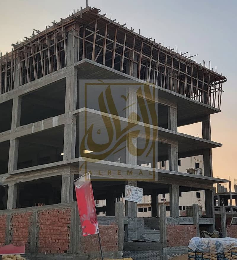 5 20251107_163828. jpg