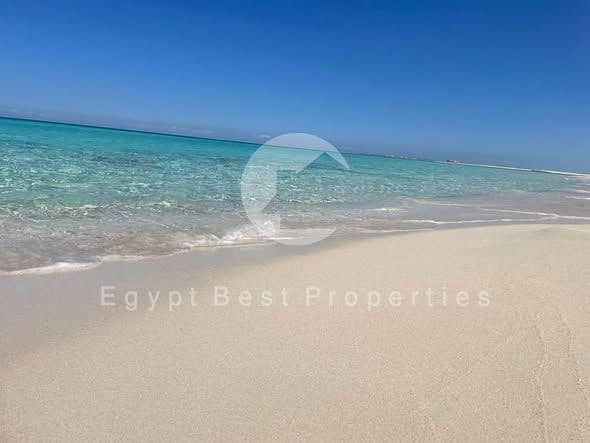 7 590814498_850430037945200_3573200693974082180_n. jpg