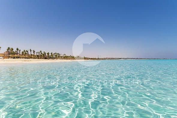 8 591054013_850429887945215_161858127202065020_n. jpg