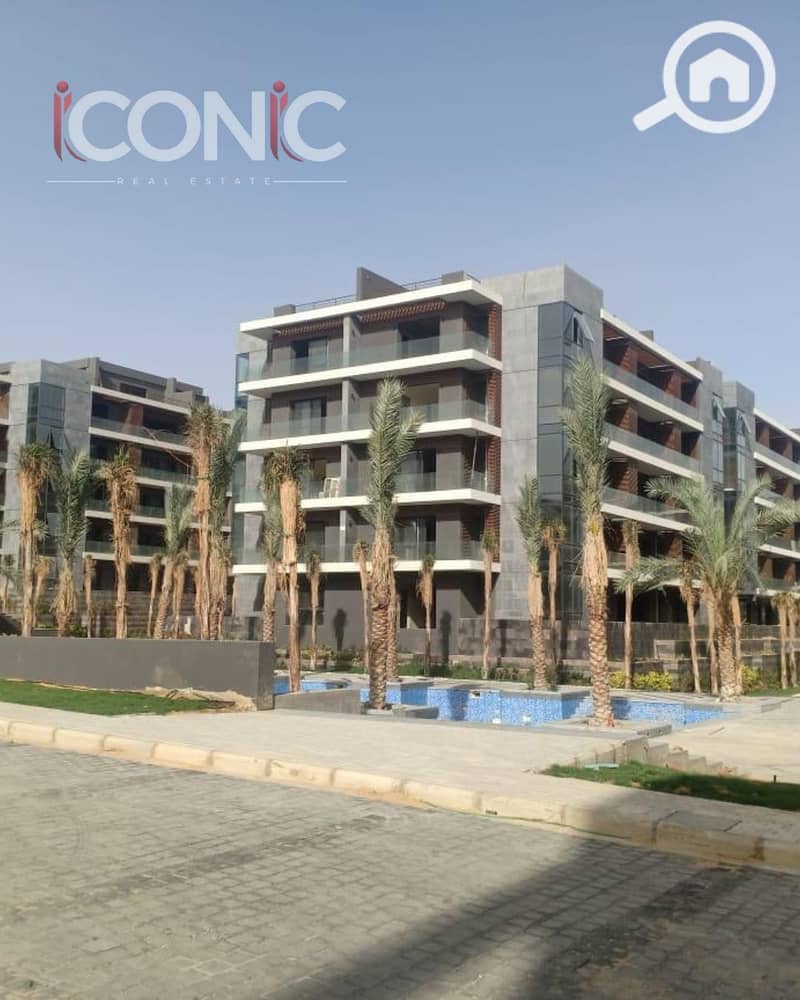 6 Untitled design (12). png