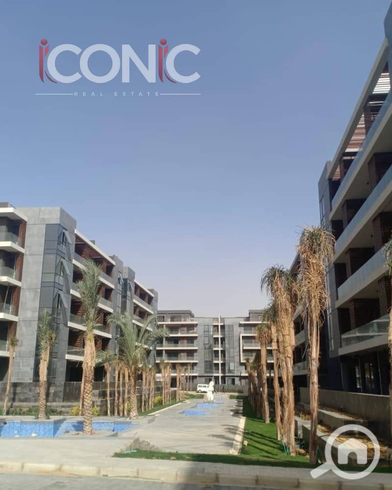 7 Untitled design (7). png