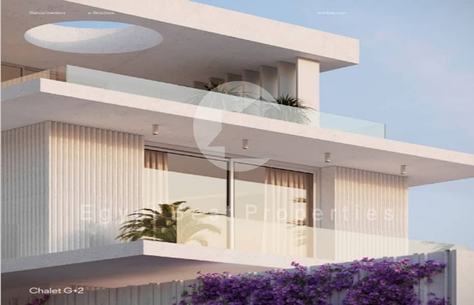 3 Screenshot_12-5-2024_122832_. jpeg