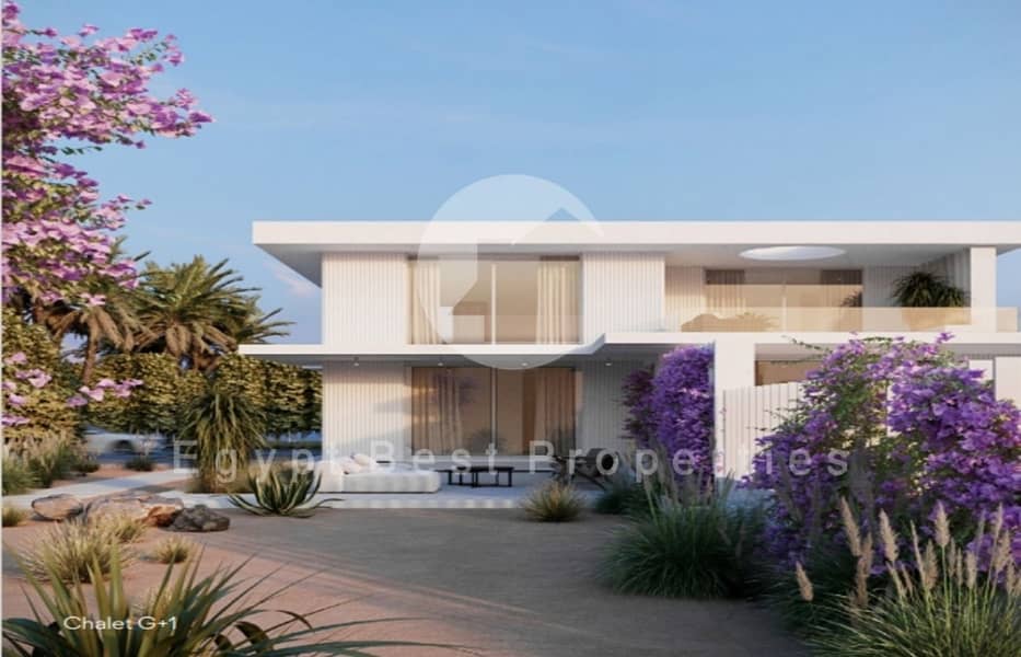 4 Screenshot_12-5-2024_122957_. jpeg