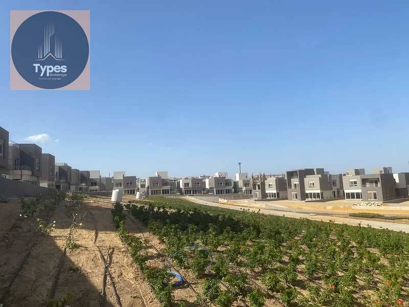 2 56a47e31-5dda-4b90-987d-d9e49c1e3231. jpg