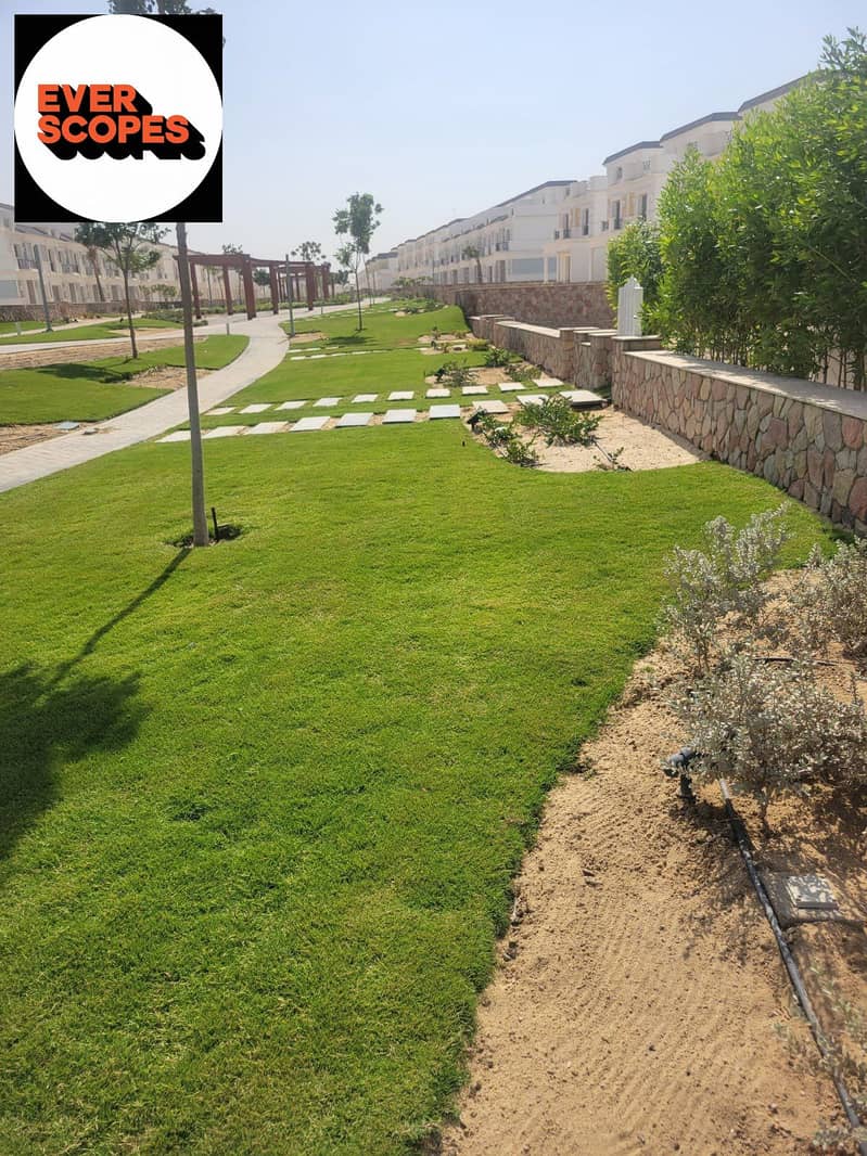 11 580801166_4288424471426659_883052486922882852_n. jpg