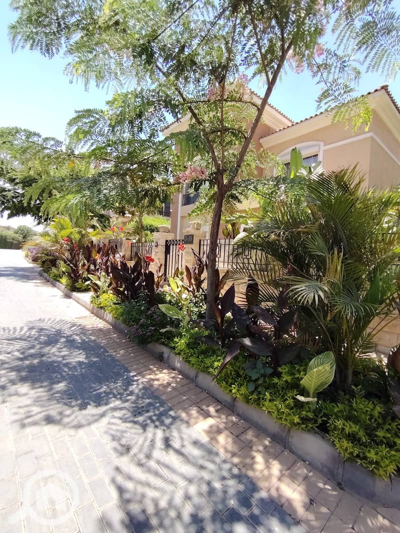 6 f5df126e-06b1-4e59-b7c5-0cfb5794b956. jpeg