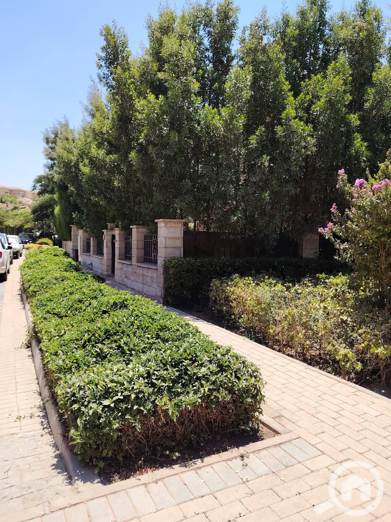 7 c79122ed-7f76-4add-ac50-edb0364525c1. jpeg