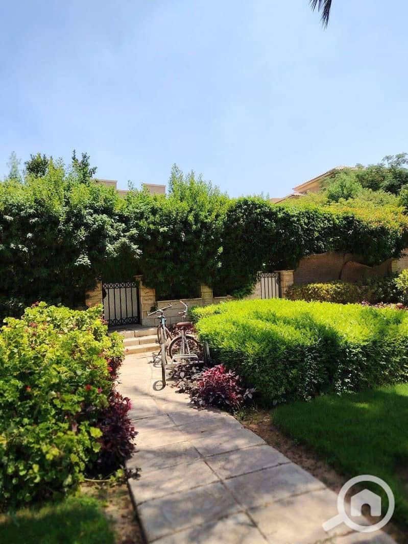 9 34be782a-e98f-4d2a-befc-569ed41cb8cc. jpeg