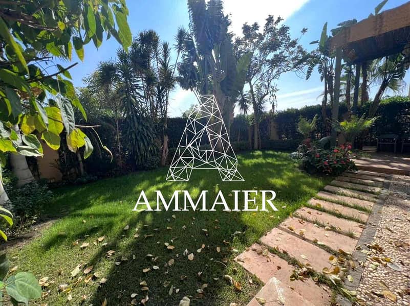 3 c23ebba0-fee1-4f00-8dcd-60c9e89b4334. jpg