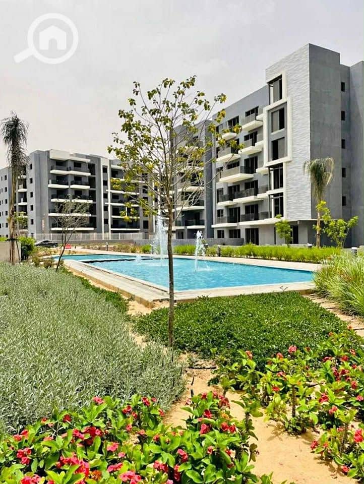 12 561740215_1170143411840098_6469522152139855643_n. jpg