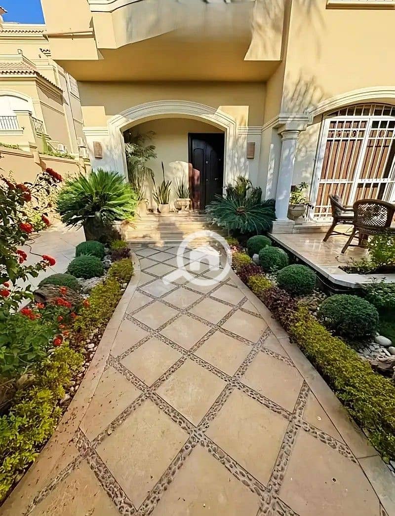 15 34124306-800x600. jpg