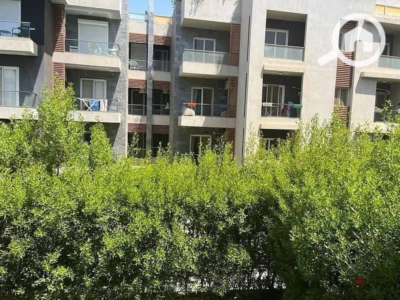 2 IMG-20250407-WA0345. jpg