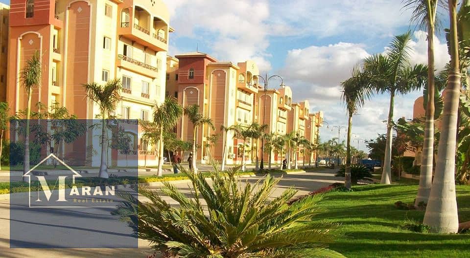 7 10806487_418527781633834_4126087356369987797_n. jpg