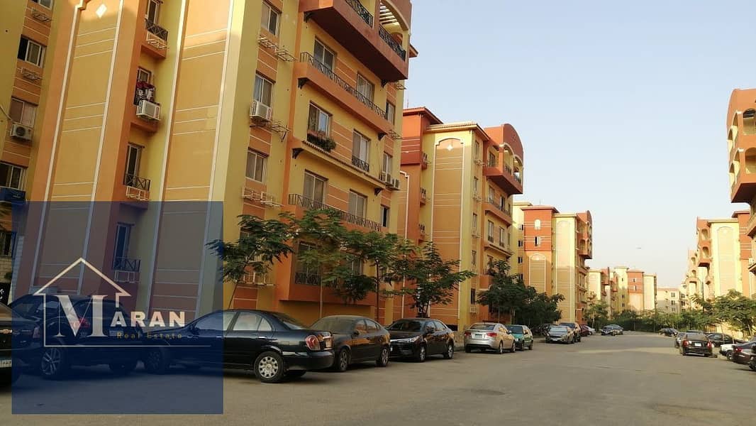 8 maxresdefault (1). jpg