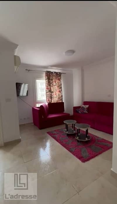 Studio for Rent in Madinaty, Cairo - IMG-20251127-WA0111. jpg
