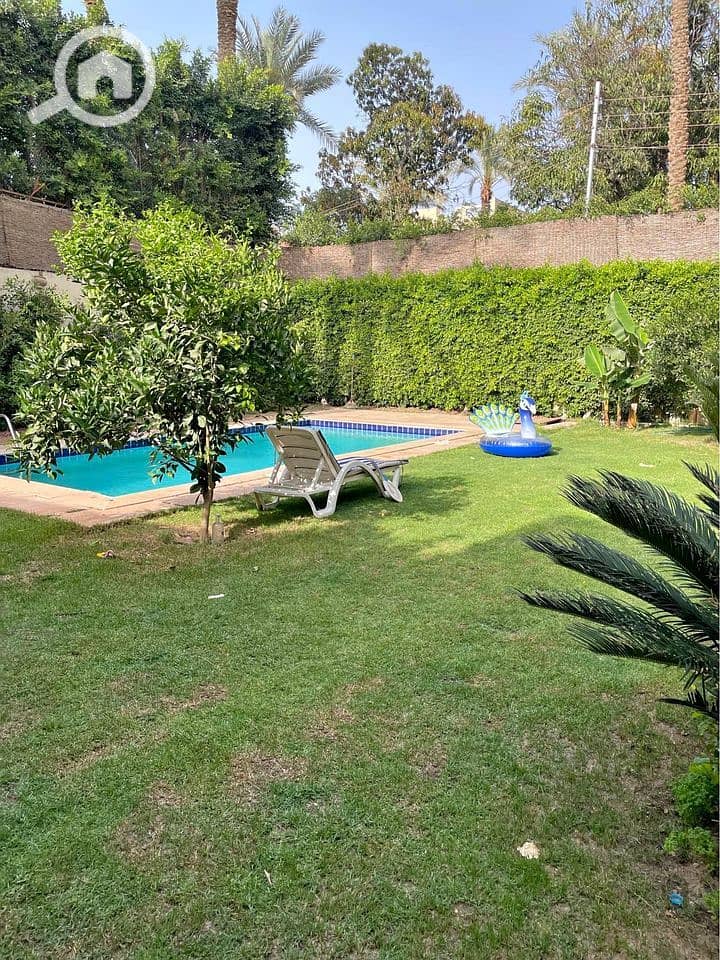 5 561339297_854401060400586_1608148990495005052_n. jpg