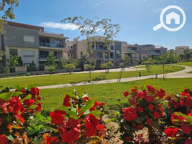 7 475982068_10170639494250301_8026885854244595212_n. jpg