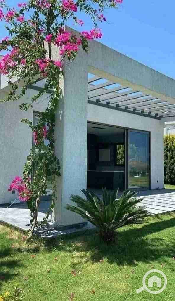 9 FB_IMG_1764259836313. jpg