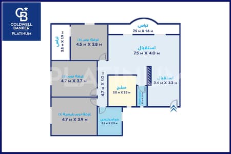 3 Bedroom Apartment for Sale in Smoha, Alexandria - 4. JPG