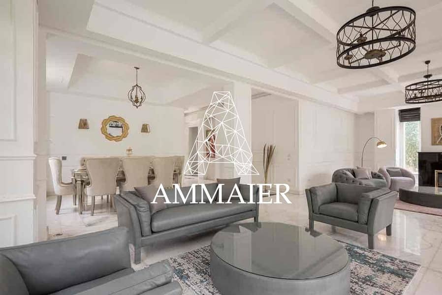 13 d51cdd55-0989-4155-b5e1-f74f62f6e18b. jpg