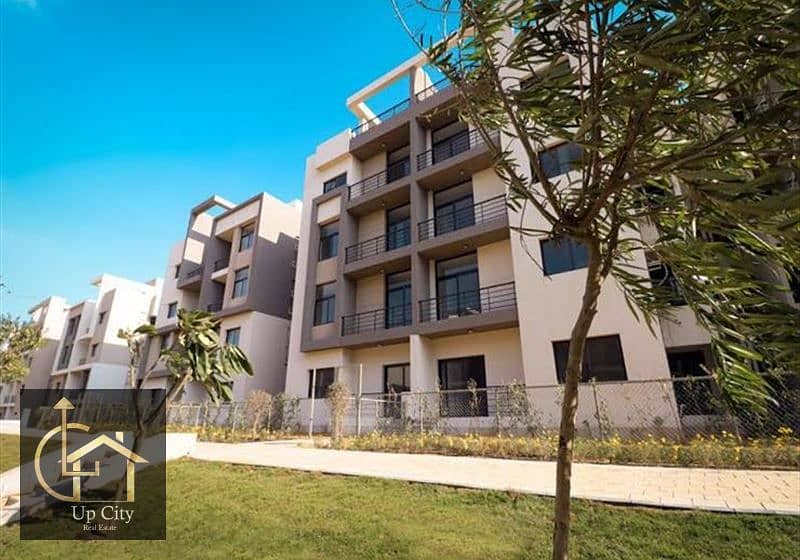 5 523471_1-news-d-. jpg